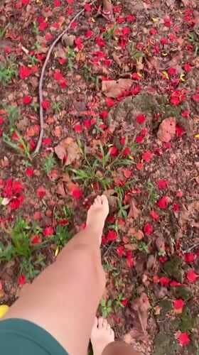 Quiet morning documented in Thai village through nature observations