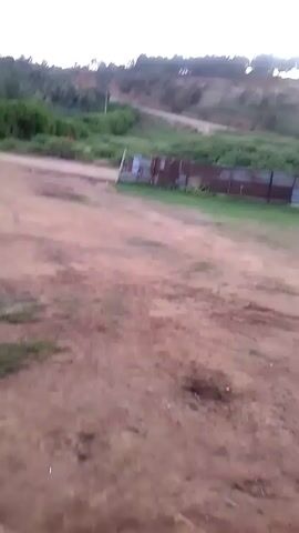 The video shows a slightly blurred outdoor view of a dirt ground with grass patches. In the background, there's a corrugated metal fence with green bushes behind it. Further back, there's a small hill covered in trees. The sky is visible at the top, appearing bright, suggesting either sunrise or sunset. The camera seems to be moving slightly.