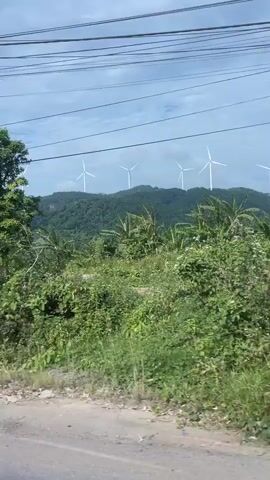 The video shows a roadside view with several wind turbines on a distant hillside. In the foreground, there are overgrown bushes, two large green trash bins, and a yellow warning sign with a red and white striped pole. As the view pans, a utility pole covered in vines is visible, followed by more trees and distant wind turbines. The video then transitions to a roadside area with stacks of old tires, a red air compressor tank, and various tools, suggesting a repair shop. Further along, a building with a black metal gate, a red sign, and potted plants is shown. The overall environment appears to be a rural or semi-urban area with a mix of natural landscape and infrastructure.