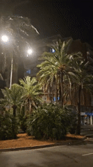 Quiet nighttime street activity near Palauet Can Buxeres, l'Hospitalet