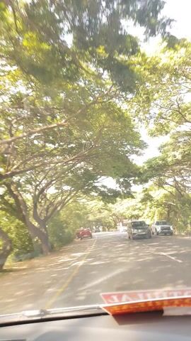 This media file captures a scenic drive through Koovathur, India, on a bright, sunny day. The primary focus is a road lined with lush, mature trees whose branches arch overhead, creating a natural canopy. Sunlight filters through the dense green foliage, casting dappled shadows on the asphalt.

Several vehicles are visible on the road, indicating ongoing traffic. These include cars and a distinctive auto-rickshaw, suggesting a typical day in a populated area. The presence of these vehicles implies an activity of travel or commuting.

Notable details include the clear blue sky peeking through the leaves, suggesting fair weather. The road appears well-maintained, and the surrounding environment is verdant, hinting at a rural or semi-rural setting. The time of day is likely mid-morning or early afternoon due to the brightness of the sun and the quality of the light.

While no people are clearly identifiable as distinct subjects, their presence is implied by the vehicles and the context of a road with traffic. The overall emotion conveyed is one of peacefulness and natural beauty, emphasized by the picturesque tree-lined avenue.

There is some visible text on signs along the roadside, including "KARTHI REAL ESTATE" and what appears to be advertisement posters for local businesses or events. These signs are typical of roadside infrastructure in India and provide a subtle clue to the location being a commercial or residential area.