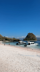 Indonesian beach scenes with visitors, boats, and wildlife documented
