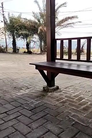 The video shows a static shot of a wooden bench and gazebo in an outdoor setting. The ground is paved with brick. Trees, including palm trees, are visible in the background. There is also some electrical wiring and poles in the distance. The lighting suggests it is daytime. No people or significant actions are occurring in the video.
