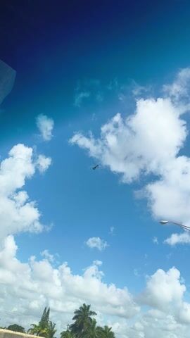 The video captures a view from a vehicle on a highway on a sunny day in Miami. The sky is a bright blue with scattered white, fluffy clouds, and some larger, darker grey clouds are also present.

At the beginning, a small, dark helicopter is visible flying in the distance against the clear sky. As the camera pans down, it reveals multiple lanes of traffic, with cars appearing to be stopped or moving slowly. Several tall streetlights with multiple arms are prominent, extending across the frame and silhouetted against the sky.

On the right side of the highway, there is a concrete barrier, followed by a line of green palm trees. In the distance, a green highway sign is partially visible, though the text is somewhat blurry. Faintly discernible words on the sign include "TURNPIKE" and possibly "FT LAUDERDALE" and "ORLANDO," indicating a route or destination on the highway.