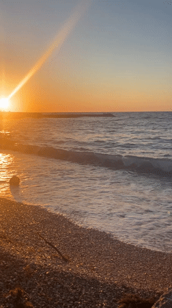 Sunset observed at Sevastopol beach with golden light, gentle waves