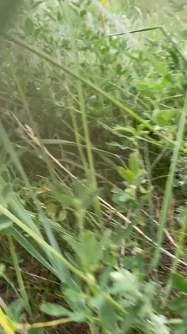 The video shows a first-person perspective of someone walking through tall grass and vegetation. The camera is moving rapidly, causing a blurry effect, but glimpses of green leaves and stems are visible. The scene then shifts to a wider view of a body of water, likely a lake or river, with a grassy bank on the right side. The sky is overcast with dramatic clouds. The overall impression is of an outdoor natural environment, possibly a nature walk or hike.