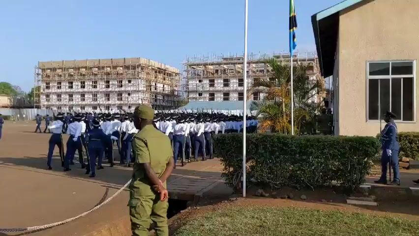 The video shows a military parade taking place outdoors on a sunny day. A group of soldiers in light blue uniforms and dark pants, holding rifles, is marching in formation behind a green hedge. A Tanzanian flag is visible in the background. Several officers in darker blue uniforms are walking alongside the marching group. Another soldier in a green uniform stands with his back to the camera, observing the parade. Behind the hedge and the soldiers, there is a building with windows and a partially constructed building with scaffolding. The ground is green grass.