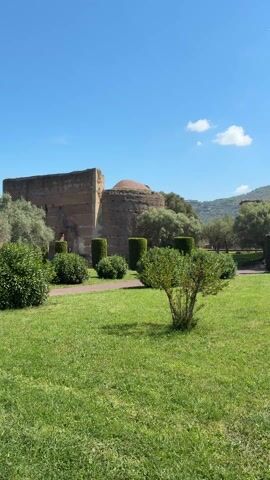 The video presents a panoramic view of ancient ruins amidst a vibrant green landscape under a clear blue sky. The camera slowly pans from left to right, revealing extensive grassy areas interspersed with neatly trimmed, rectangular bushes and a few individual shrubs. In the background, there are large, weathered stone structures, characteristic of ancient Roman architecture, including a rounded dome-like building and several walls. Beyond these ruins, olive trees and other sparse vegetation dot the landscape, leading to distant rolling hills or mountains. The sky is bright with a few scattered white clouds, suggesting a sunny day. No people are visible, but faint human voices can be heard in the background. The scene evokes a sense of historical grandeur and natural beauty, consistent with a major archaeological site like Hadrian's Villa in Tivoli, Italy.