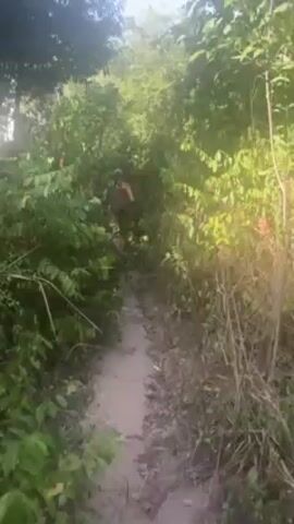 A person on a dirt bike navigates a narrow, muddy trail through dense vegetation. Sunlight filters through the trees, creating bright spots on the leaves and ground. The trail slopes uphill, leading towards an opening in the foliage. The rider is partially visible through the trees. The surrounding vegetation includes trees, shrubs, and tall grasses.