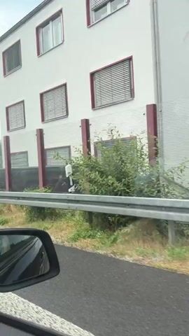 The video is shot from inside a car, likely looking out the passenger side window and windshield. The car is traveling on a highway next to a sound barrier made of vertical metal slats and opaque panels. Vegetation is growing along the base of the barrier. In the distance, houses and trees are visible beyond the barrier. A yellow and black sign with a speed limit of 30 is visible. The sky is cloudy. The car passes other vehicles on the highway.