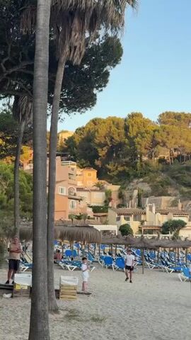 The video shows a sandy beach with rows of empty lounge chairs and umbrellas. In the foreground, several palm trees stand tall. A few people are visible on the beach, including two boys playing, and an adult man standing near the palm trees. In the background, there are buildings nestled on a tree-covered hillside. The sky is clear and blue, suggesting a daytime scene.