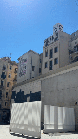 Morning skateboarding scene documented at Barcelona's MACBA museum plaza