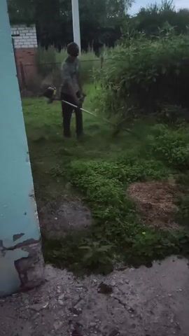 A person is mowing grass with a weed trimmer in a yard. The person is wearing a t-shirt and pants. There is a building to the left of the frame, and trees and bushes in the background. The ground is covered in grass and dirt. The lighting suggests it is either early morning or late evening.