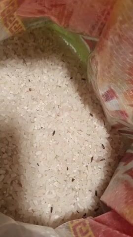 A close-up shot of a bag of uncooked white rice shows numerous small, dark brown insects scattered throughout the grains. The bag appears to be made of woven material, with red and yellow decorative patterns visible on the edges. The lighting is dim, suggesting an indoor setting.