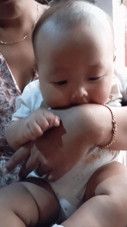 Mother and baby moments captured alongside sleeping cat in Indonesia