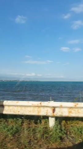 The video shows a view from a moving vehicle, looking out at a body of water under a clear blue sky with scattered white clouds. A white guardrail with some rust is visible in the foreground, along with green vegetation and grass. Trees and bushes line the edge of the water, which appears to be a lake or sea. In the distance, the shoreline is visible with some vegetation. The camera is panning slightly to the right as the vehicle moves.