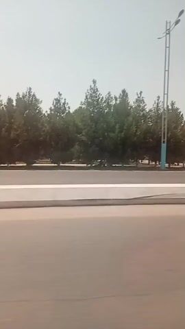 The video shows a view from a moving vehicle, looking out at a street with trees and a sidewalk. A tall lamppost with multiple lights stands prominently on the left side of the frame. The street is paved, and there is a white barrier separating it from the area with trees. In the background, there are more trees, some buildings, and a few cars parked or driving. The sky is clear and bright, indicating it is daytime. The footage appears to be captured during a sunny day, with the sunlight casting shadows.