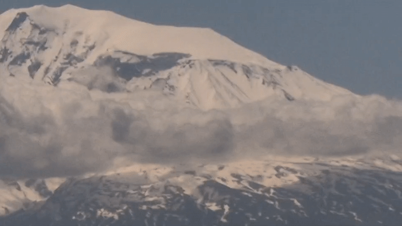 Snow-capped mountains observed from elevated urban position