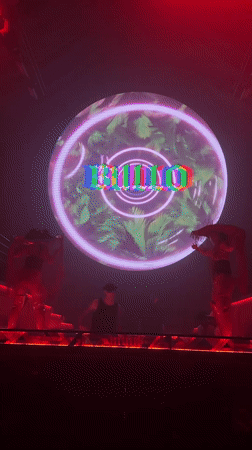 Red-lit stage, psychedelic visuals, and a live DJ set in Bali
