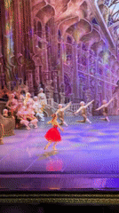Ballet performances captured at ornate theater with elaborate backdrops