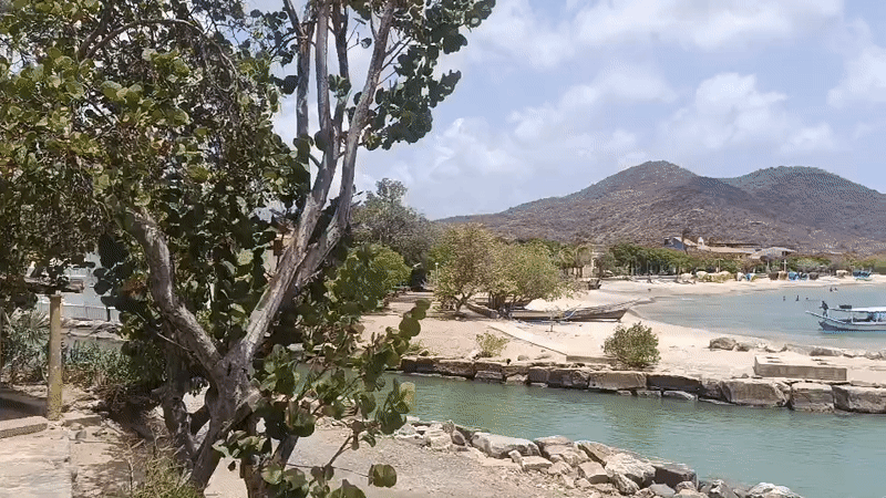 Coastal scenes documented at Pedro González beach, Venezuela
