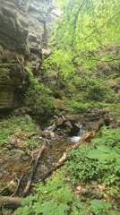 Child plays by forest stream in Plovdiv ravine