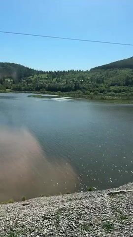 The video shows a lake or wide river with green forest hills in the background. The sky is clear blue. The camera appears to be positioned on a rocky embankment or a structure reinforced with gravel. The water is mostly clear but with some areas of muddy or discolored water. Power lines run overhead.