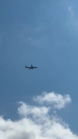 A video of an airplane flying in a clear blue sky. The airplane is silhouetted against the sky and appears to be in flight. There are some clouds in the sky, and a tree is visible in the bottom right corner of the frame. The video is filmed from below, looking up at the airplane.