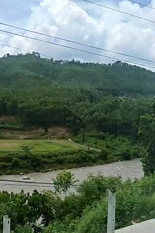 A video shows a wide, muddy river flowing through a valley. On the opposite bank, a series of terraced green fields are visible, leading up to a hillside covered in dense green trees. Further up the hillside, a cluster of buildings with red roofs can be seen. Power lines stretch across the top of the frame, and the sky is partly cloudy. The camera is mounted on a vehicle, indicated by the presence of a metal guardrail in the foreground and slight movement. The video is comprised of short, static shots.