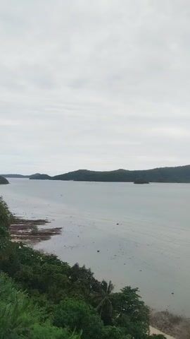The video shows a panoramic view of a calm, overcast seascape. In the foreground, lush green foliage, including palm trees, lines the shore. The water stretches out to the horizon, with several islands visible in the distance. The sky is heavily clouded, casting a muted light over the scene. The overall impression is one of tranquility and natural beauty.
