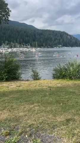 The video shows a wide shot of a body of water filled with paddleboarders. In the background, a marina is visible with many sailboats docked. Beyond the marina, a densely forested mountainside rises up, covered in evergreen trees. The sky is overcast with gray clouds. The foreground consists of a grassy area with a few small bushes. A small brown bird is visible in the grass in the lower right portion of the frame. The paddleboarders are scattered across the water, some appearing to be in a group or race. The overall scene depicts an outdoor recreational activity on a lake or bay.