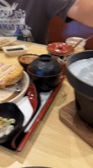 Japanese meal and dumplings documented at Denpasar restaurant