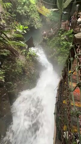A  video shows a waterfall cascading down a rocky gorge. The water is white and frothy, and mist rises from the base of the falls.  Surrounding the waterfall is lush green vegetation, including trees, ferns, and moss-covered rocks.  A wooden walkway or bridge with a chain railing is visible on the right side of the frame, offering a vantage point to view the waterfall.  In the background, there appear to be other structures and possibly people on elevated platforms or bridges amidst the foliage.  The overall impression is a natural setting with some man-made elements integrated into the environment.