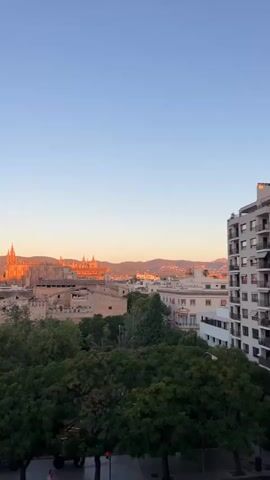 A vertical video shows a cityscape at sunset. The sky is a clear, pale blue with a warm orange glow near the horizon. In the distance, a large cathedral with prominent spires is illuminated by the setting sun, casting a warm, golden light on the surrounding buildings. The cityscape consists of a mix of old stone buildings and more modern structures with white and pale pink facades. Lush green trees are prominent in the foreground, with their canopies forming a dense layer across the middle ground. A modern white apartment building with balconies is visible on the far right side of the frame, overlooking the city. A few birds are seen flying in the sky. The lower part of the video shows a paved street with a few scattered people walking and a red traffic light.