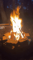Campfire burns in wooded area near Новоклязьминское, Russia