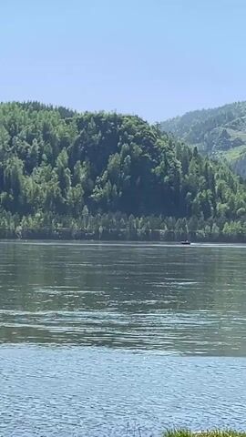 This video depicts a serene natural landscape, likely near Слизнево, Russia. The scene is dominated by a wide body of water, possibly a lake or river, which occupies the foreground and midground. The water's surface is calm, reflecting the clear blue sky, with gentle ripples visible.

In the background, lush green hills or mountains rise, heavily covered with coniferous and deciduous trees, indicating a dense forest. The foliage appears vibrant and healthy under bright daylight. The sky above is a clear, unblemished blue, suggesting good weather conditions.

A small, dark-colored boat is visible in the distance, moving from left to right across the water, creating a subtle wake. The boat is the only discernible man-made object besides the distant land. The overall impression is one of tranquility and natural beauty. No specific time of day or other notable events are explicitly indicated beyond the general pleasant conditions. No text is visible in the video.
