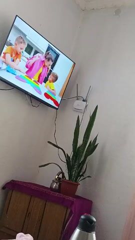 A low-angle shot shows a television mounted on a white wall displaying a cartoon animation featuring a woman and two young boys playing with colorful toys, possibly a 'pop it' toy. Below the television, a wooden cabinet covered with a purple cloth holds a potted snake plant and a small metal teapot.  A white wifi router is mounted on the wall above the plant. In the foreground, the top of a black and silver thermos is visible.  The overall impression is that the room is simple, and the television is the central focus, perhaps providing entertainment.