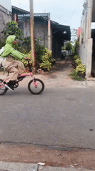 Everyday street life in a Kadu neighborhood, bikes and kittens included