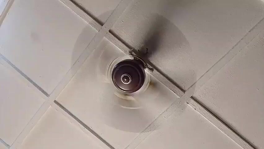 The video shows a ceiling fan rotating against a white, tiled ceiling. The fan has a dark brown or black motor housing and light-colored blades that are blurred due to their motion. A child's voice can be heard in the background, stating "It's not even fun".