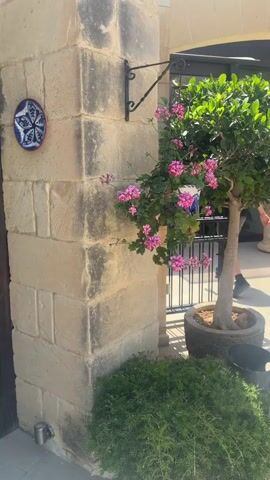 A hand is holding a small, dark-glazed cup filled with a dark liquid, likely coffee. The background shows an exterior setting with a stone wall, greenery, and a small tree with pink flowers. A blue and white decorative plate is affixed to the stone wall. The scene suggests a tranquil moment, perhaps enjoying a coffee outdoors.