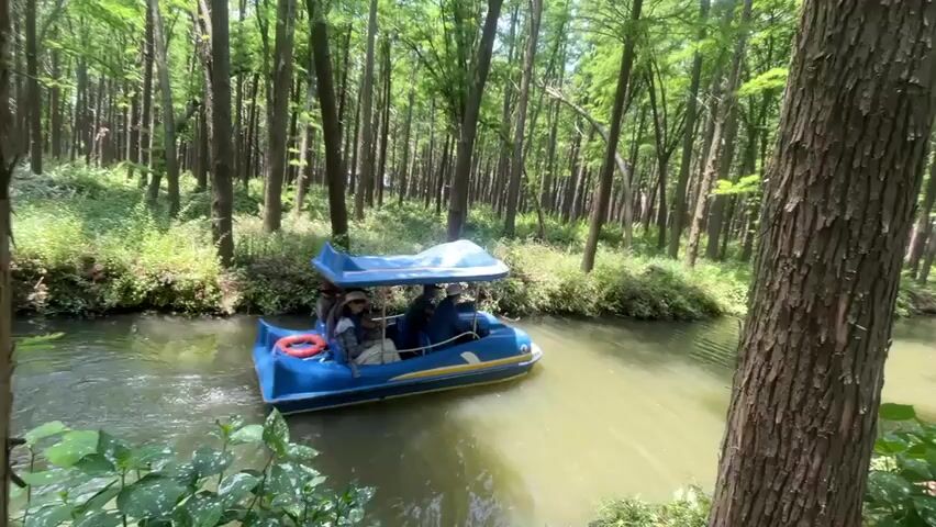A small blue boat with a white canopy is moving along a narrow canal through a dense forest. The boat appears to be occupied by several people, though their features are not clearly discernible. The canal is surrounded by tall, thin trees with green foliage. The water is murky and the lighting is dappled, creating a tranquil and natural atmosphere.