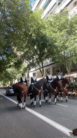 Formal horse carriage procession travels through Barcelona streets