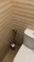 Domestic life documented across Bulgarian home over 28 minutes