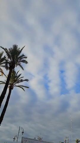 The video shows a cloudy sky with patches of blue in between. Several tall palm trees stand in the foreground, swaying slightly. A street sign and a few lampposts are visible at the bottom of the frame. The overall atmosphere is somewhat overcast.