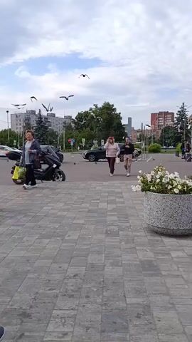 The video shows a street scene with a flock of birds in the sky. In the foreground, there is a cobblestone pavement with a large planter filled with white flowers. Two people are walking from left to right across the pavement. Behind them, a black scooter is parked. Further in the background, there are cars, buildings, and trees under a cloudy sky. A red brick building with shops is visible on the right side of the frame. Several people are walking near the building entrance, and some are carrying luggage. The overall atmosphere appears to be that of a city street on a day with moderate cloud cover.