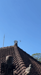 Helicopter spotted flying over Ubud District residential area