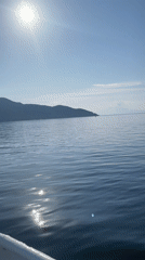 Boat navigates calm waters off Thassos, Greece