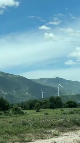 This is a vertical, eye-level, medium shot video of a rural landscape. In the foreground, there is dry, brown dirt with some sparse green vegetation. Moving further back, there is a field of green grass with some scattered bushes and trees. Behind the field, there is a dense line of green trees. In the background, there are several large white wind turbines with spinning blades, situated on a series of rolling, green mountains. The sky is blue with scattered white clouds. The lighting suggests it is daytime, likely midday, and there is no discernible audio.