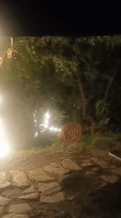 Evening documentation captures lit pathways, Buddhist artifacts in Old Manali