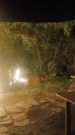 Evening documentation captures lit pathways, Buddhist artifacts in Old Manali